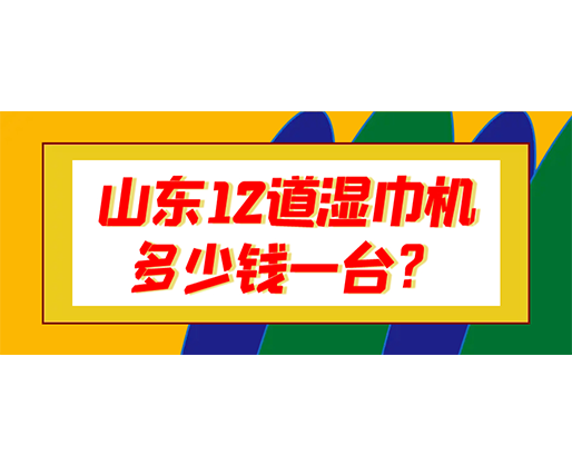 山東12道濕巾機(jī)多少錢一臺(tái)？